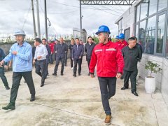 云南省市領導視察綠環(huán)旗下大